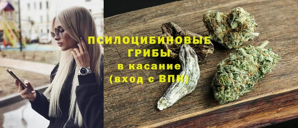 гидропоника Пестово